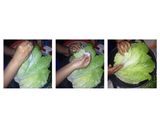 Foto langkah ke 4 dari resep Easy Traditional Kimchi (korean side dish).