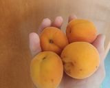 Foto del paso 3 de la receta: Helado de albaricoques (con heladera)