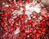 A picture of step 1 of Pomegranate milkshake.