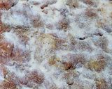 Foto del paso 2 de la receta: Rollo de pollo como matambre