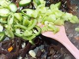 Tumis Jamur kuping Cabe Ijo