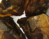 কুমড়ো পুঁইশাক (kumro puisak recipe in Bengali) রেসিপির ধাপ 1 ছবি