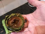 Alcauciles a la Romana (Carciofi a la Romana)