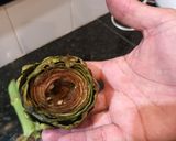 Foto del paso 2 de la receta: Alcauciles a la Romana (Carciofi a la Romana)