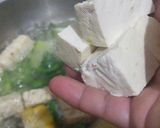 Foto langkah ke 3 dari resep 1066. Sayur Lodeh Bumbu Instan.