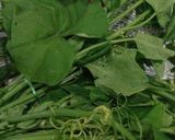 Foto langkah ke 1 dari resep Peyek teh daun labu.
