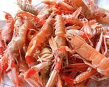 Hình bước làm 1 của món Langoustines (Tôm Càng Biển Bắc) Làm Chín Nhanh Chấm Sốt Mayonaise
