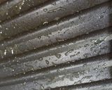 A picture of step 6 of Grilled bajara cham chamiya.