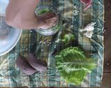 Foto del paso 4 de la receta: Como hacer chucrut?