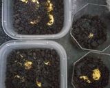 Foto langkah ke 5 dari resep 8. BANOFFEE REGAL OREO |Dessert box.