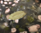 Foto del paso 4 de la receta: Chipirones en su tinta