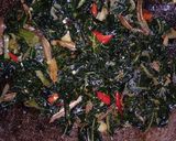 Foto langkah ke 3 dari resep Oseng Daun Pepaya.