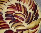 Foto del passaggio 2 della ricetta Torta alle Susine