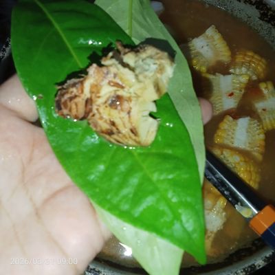 Langkah 4