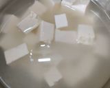 A picture of step 1 of Paneer Rogan Josh.