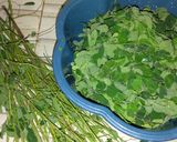 Foto langkah ke 1 dari resep Menir daun kelor (No santan).