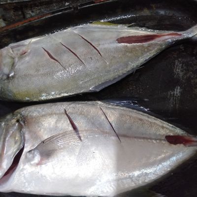 Langkah 3
