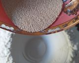 Foto del paso 1 de la receta: Baguette (pan rústico natural)