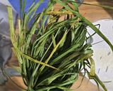 Foto del paso 2 de la receta: Yetlatl