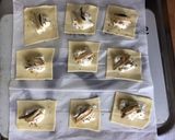 Une image de l'étape 3 de Bouchées feuilletées aux anchois et mozzarella di buffala.