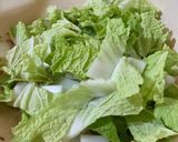 Foto langkah ke 2 dari resep Tumis Sawi Putih Tauge Tahu.