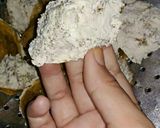 Foto langkah ke 1 dari resep Tahu Walik.