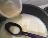 Foto del paso 4 de la receta: Pay de leche (o crema) sabor coco