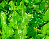 A picture of step 1 of Shaljum (Turnip) And Palak (Spinach) Ki Bhujiya.