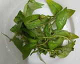 Hình bước làm 5 của món Gỏi gà ngũ sắc