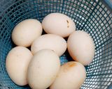 Foto langkah ke 1 dari resep Telur Asin (Telur Entok).