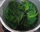 Foto langkah ke 2 dari resep Daun Pepaya dgn Cumi asin.