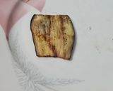 Foto del paso 7 de la receta 41. Rollitos de berenjena