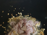 Mie sagu goreng