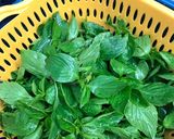 Hình bước làm 1 của món Mực tươi xào rau húng quế