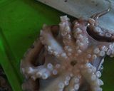 Foto del paso 1 de la receta: Escabeche de pulpo y calamar 🦑🐙