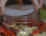 酸爽帶勁 不矯氣的四川泡菜 (生水版)的食譜步驟11照片