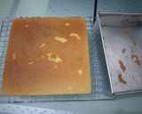 Foto langkah ke 11 dari resep (14.3) Topomap Cake Putih Telur.