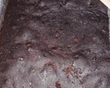 Foto langkah ke 6 dari resep Bolu ketan hitam praktis.
