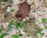 A picture of step 4 of Creamy Chicken Bread Filling.