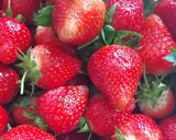 Foto langkah ke 1 dari resep Selai strawberry home made.