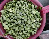 મિક્સ શાક (Mix Shak Recipe In Gujarati) રેસીપી સ્ટેપ2ફોટો