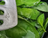 Foto del paso 1 de la receta: Vinagreta de albahaca 🌱 Aliño de albahaca 🌱