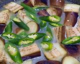 Foto langkah ke 4 dari resep Lodeh Terong dan Labu Siam.