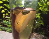 Foto langkah ke 3 dari resep Teh Apel Daun Kelor with Vanilla Cinnamon.