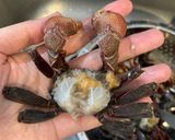 Hình bước làm 2 của món Ba Khía Rang Me