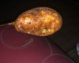 A picture of step 3 of Corn dog.