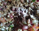 A picture of step 2 of Sprouted moth salad.