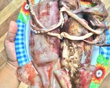 Foto langkah ke 1 dari resep Gulai Cumi (Sotong) isi Tahu telur.