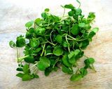 A picture of step 1 of Watercress Lassi.