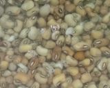 A picture of step 1 of Cowpea Curry.